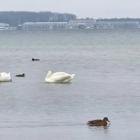 Feldblick דירה *