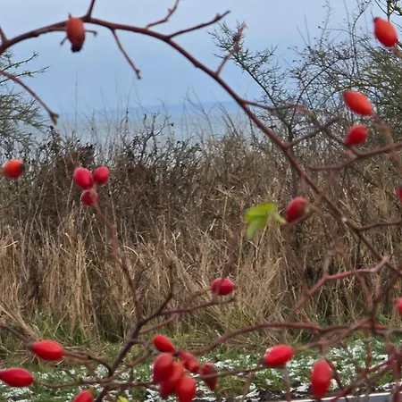 דירה Feldblick Upahl