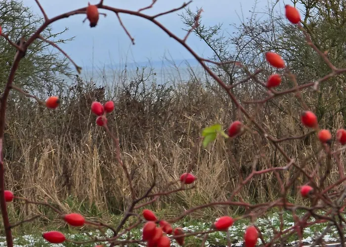 شقة Feldblick Upahl